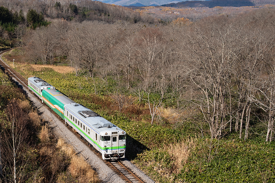 山線マヤ検