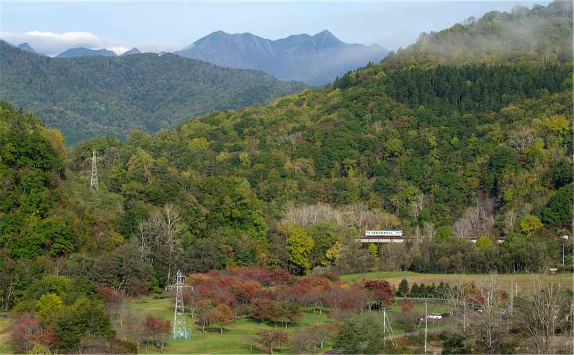 金山ダムの紅葉