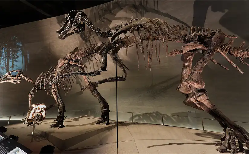 穂別恐竜博物館